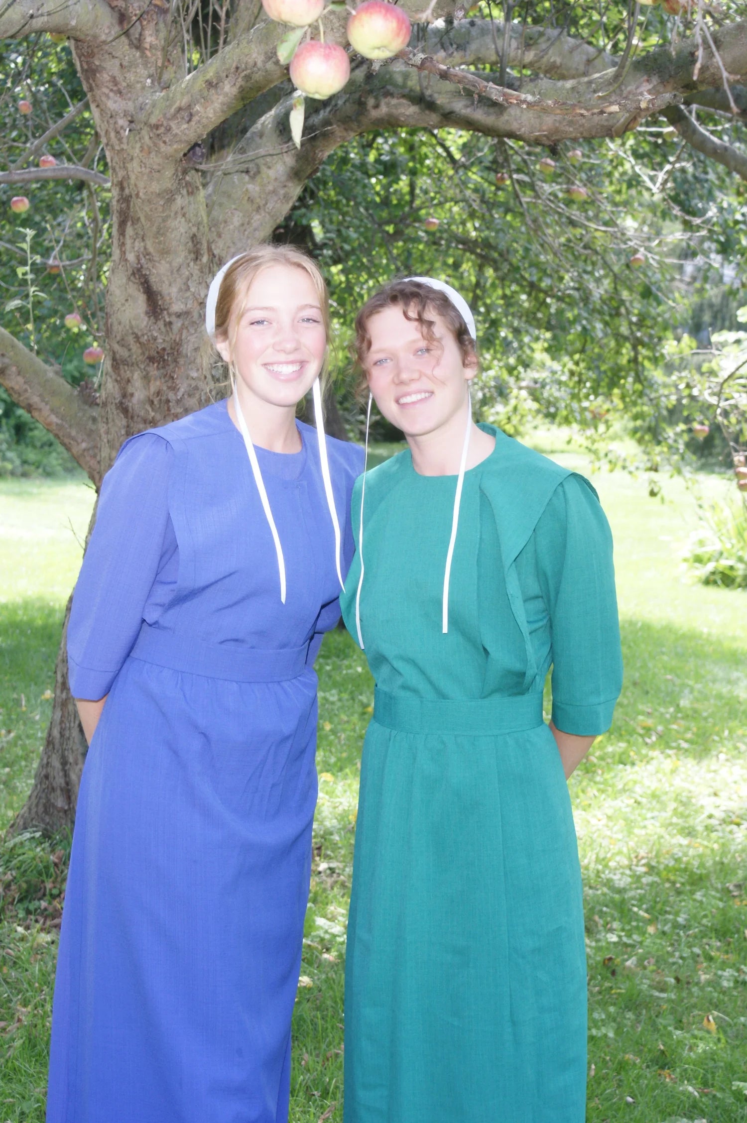 Amish WOman's Just a Dress — Notice: The Store is OPEN, come on in!