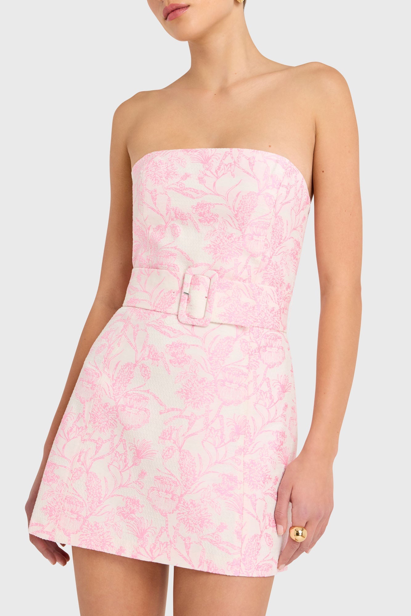 Fae Dress in Toile Brocade