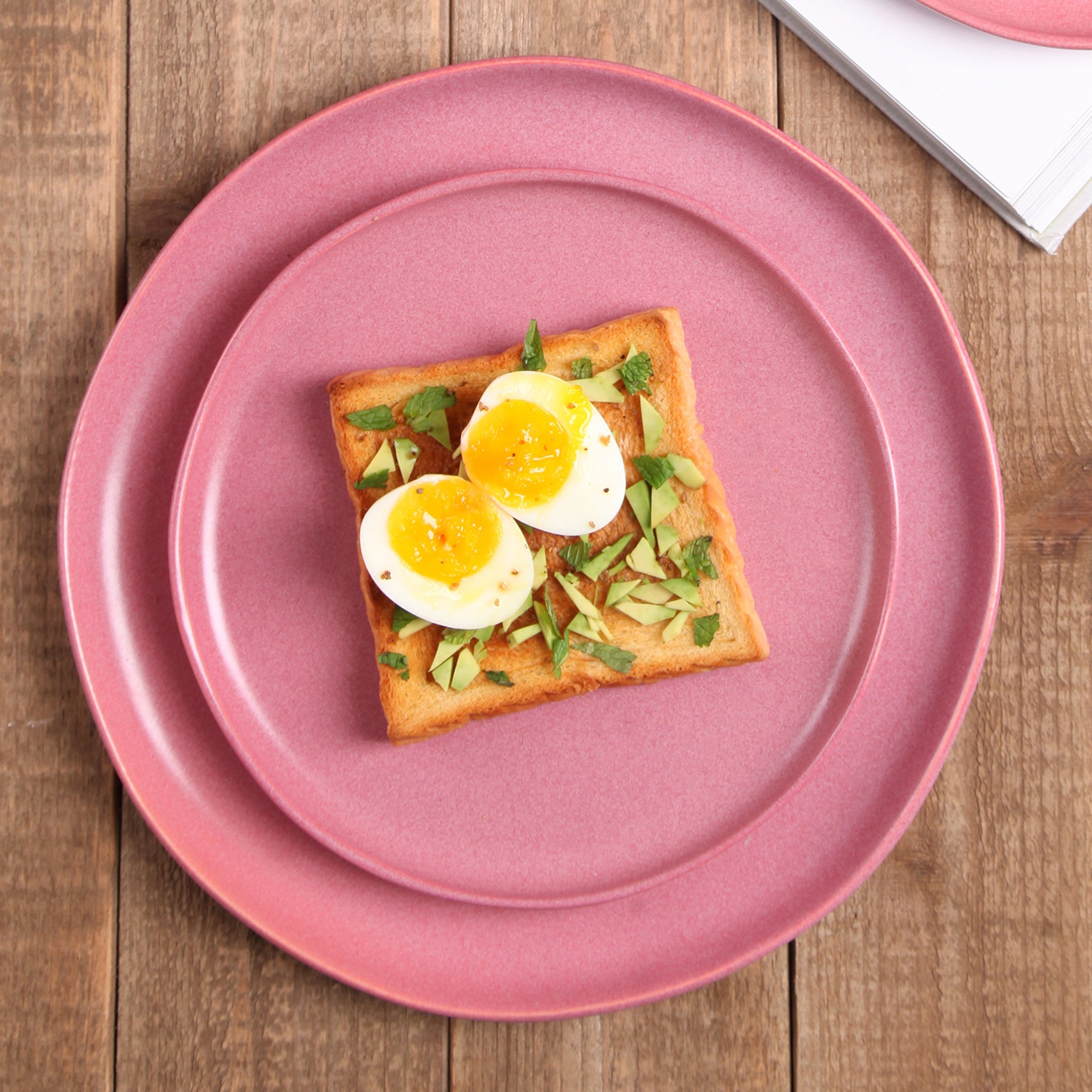 Monxra Stoneware Dinner Plate - Pink White